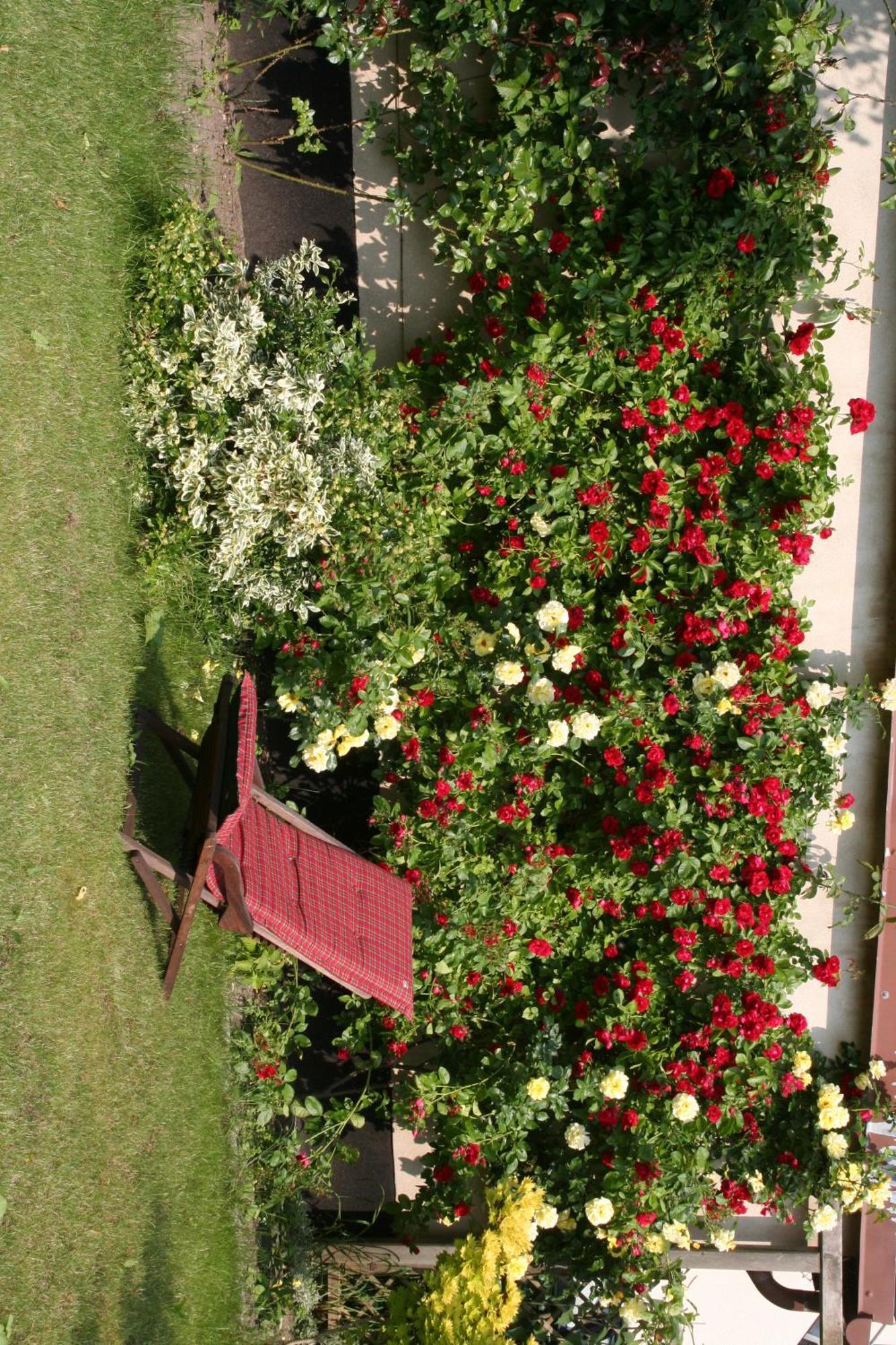 Pension Villa Beer Stralsund Kültér fotó